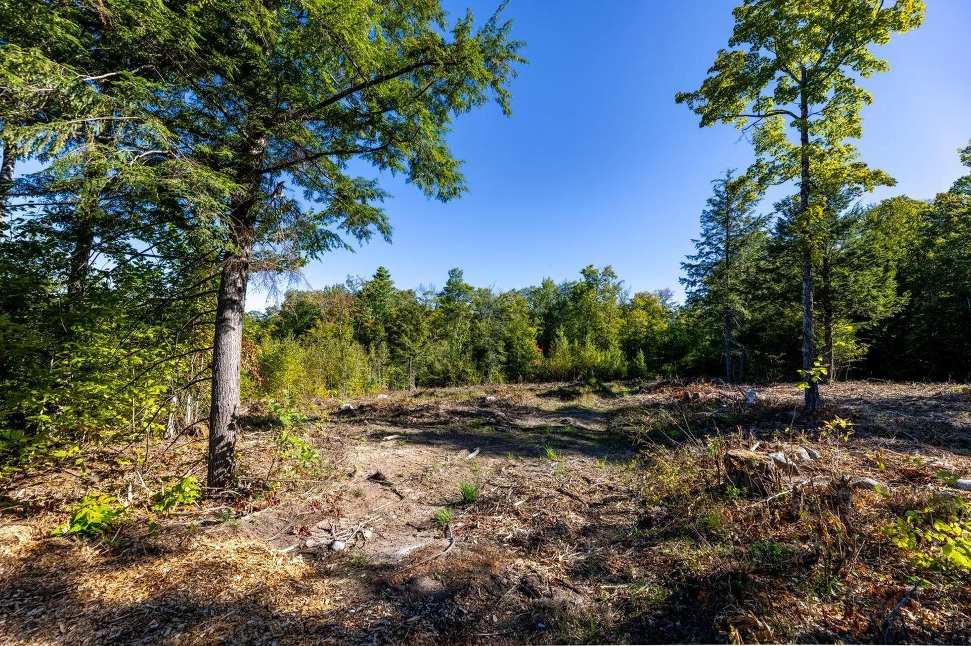 17 Sedgewood Drive Tuftonboro NH 03816