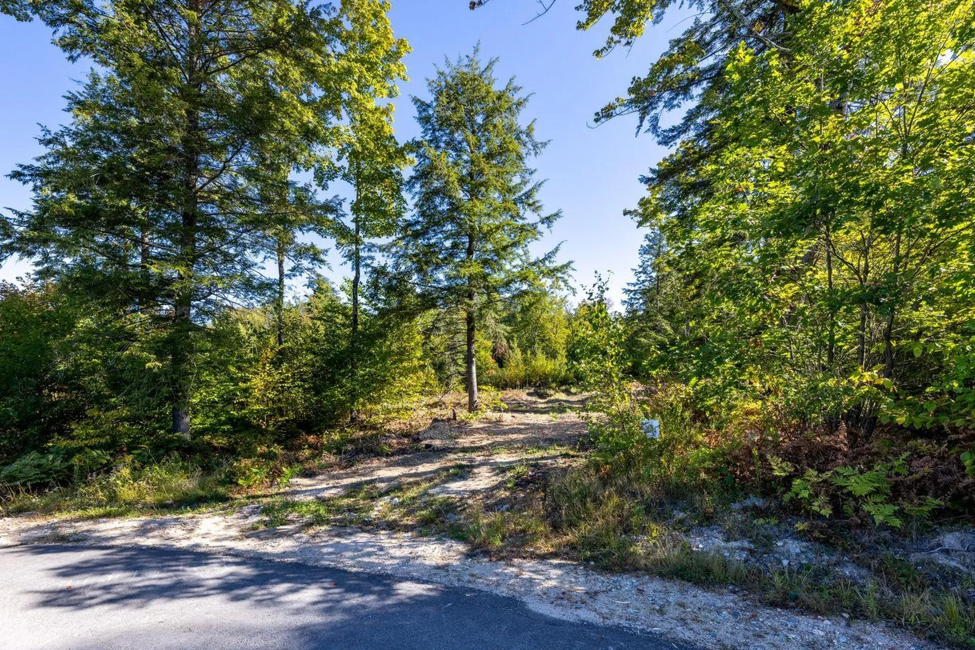 17 Sedgewood Drive Tuftonboro NH 03816