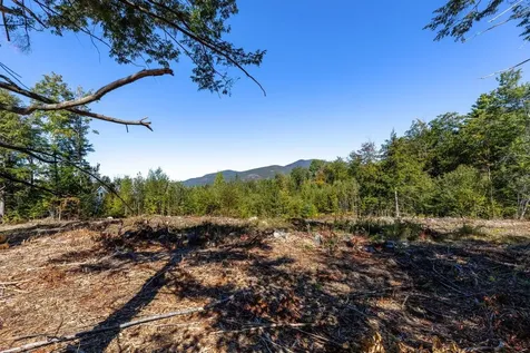 17 Sedgewood Drive Tuftonboro NH 03816