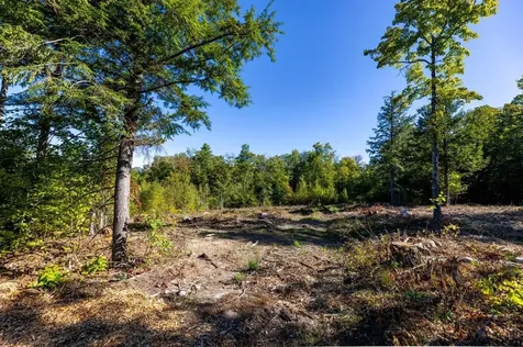 17 Sedgewood Drive Tuftonboro NH 03816