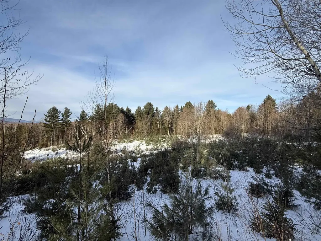 0 Hinman Settler Road Brownington VT 05860