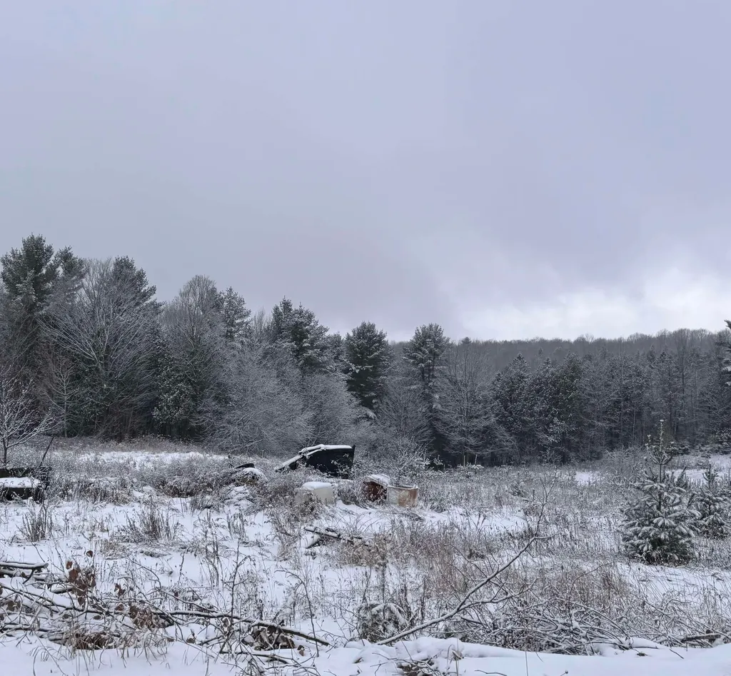 0 Hinman Settler Road Brownington VT 05860