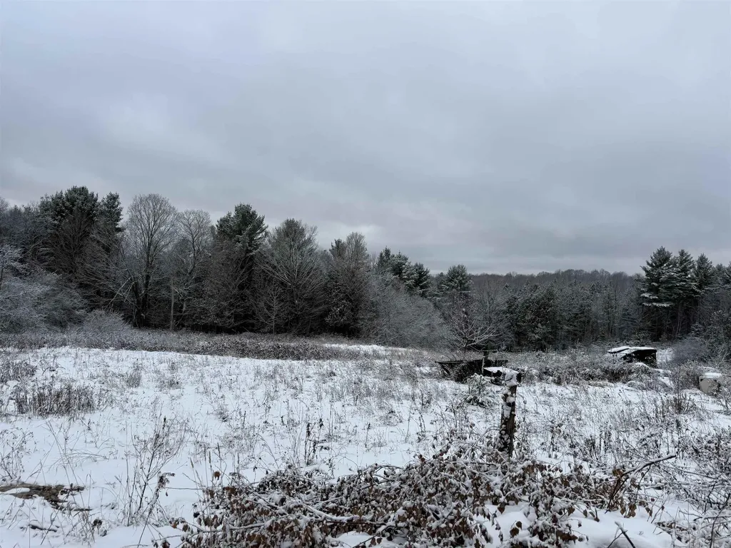 0 Hinman Settler Road Brownington VT 05860