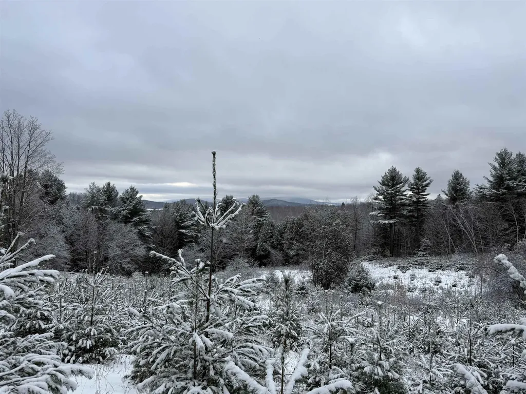 0 Hinman Settler Road Brownington VT 05860