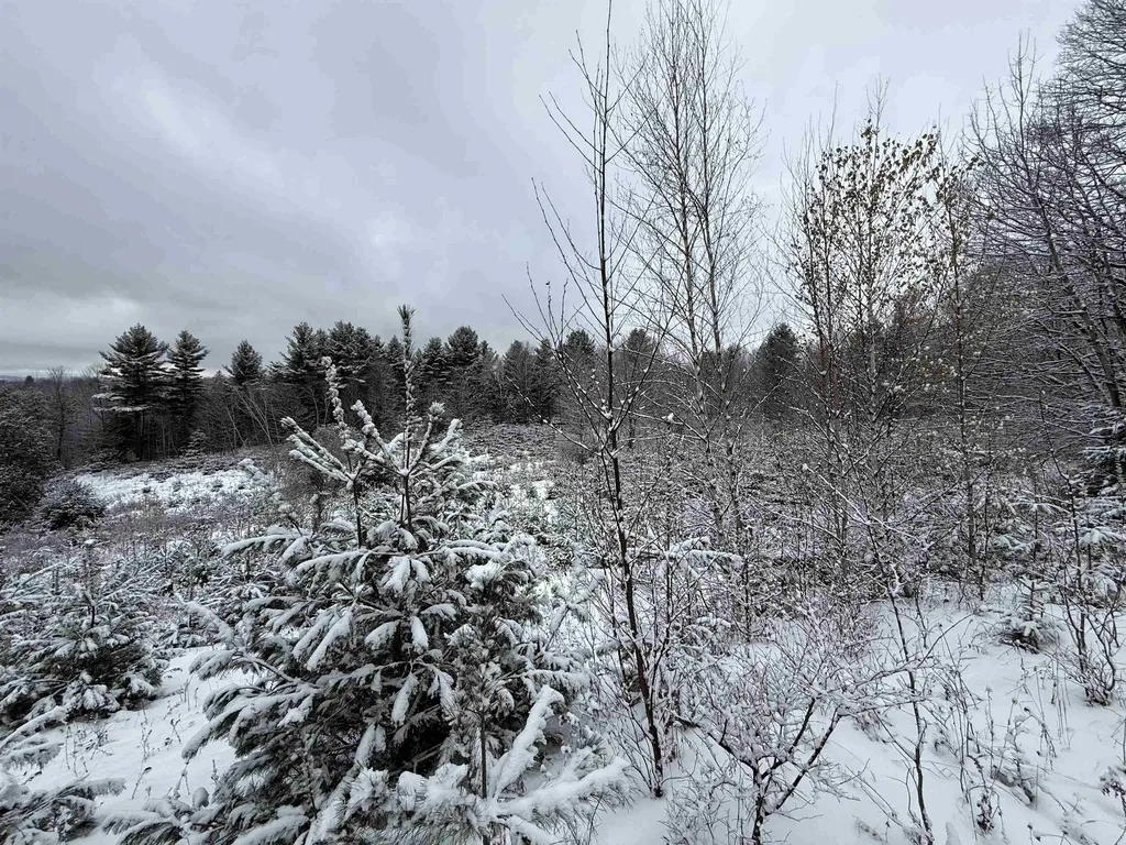 0 Hinman Settler Road Brownington VT 05860