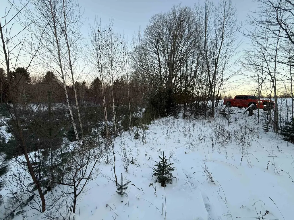 0 Hinman Settler Road Brownington VT 05860