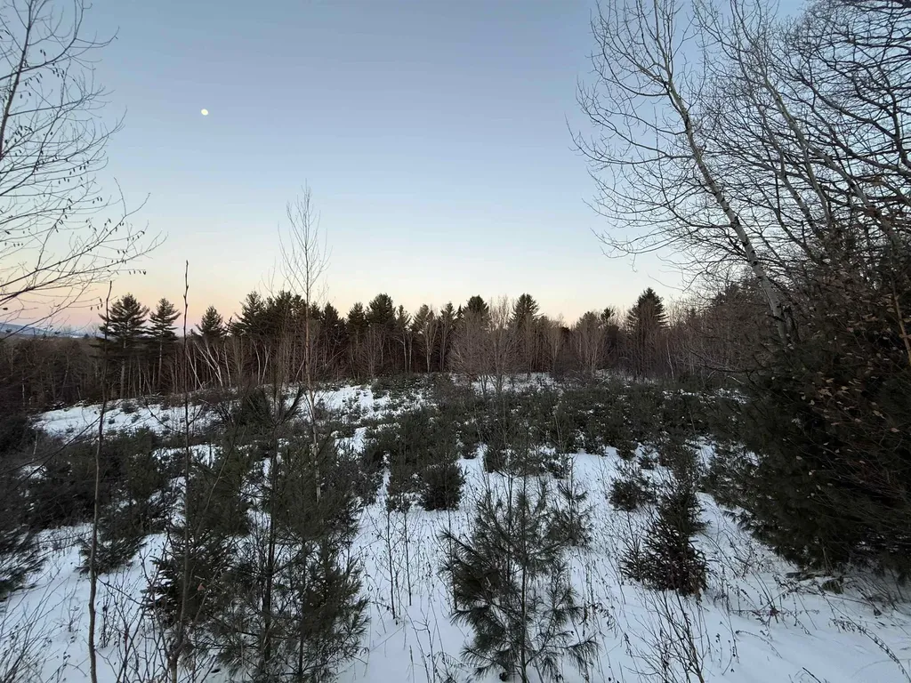 0 Hinman Settler Road Brownington VT 05860