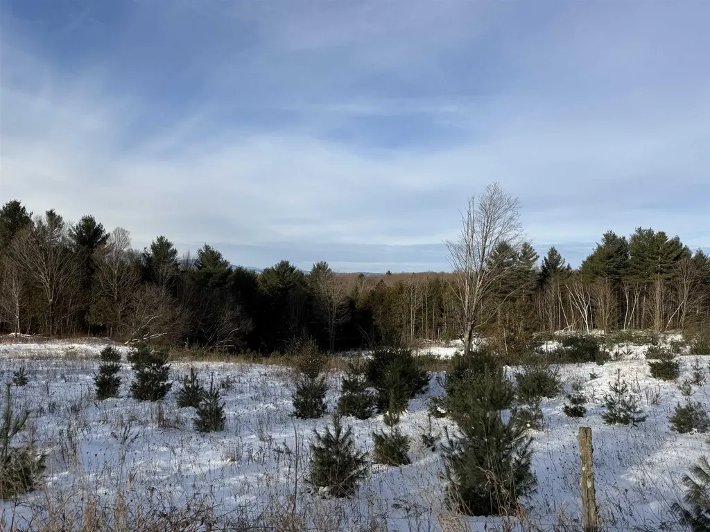 0 Hinman Settler Road Brownington VT 05860