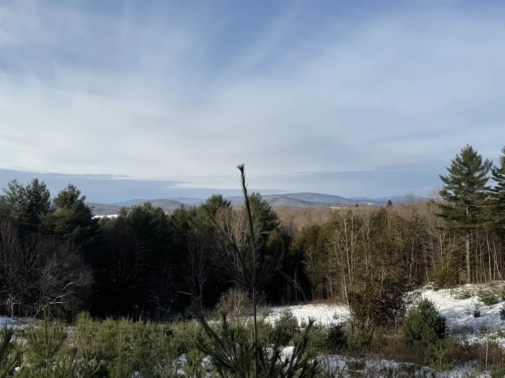 0 Hinman Settler Road Brownington VT 05860