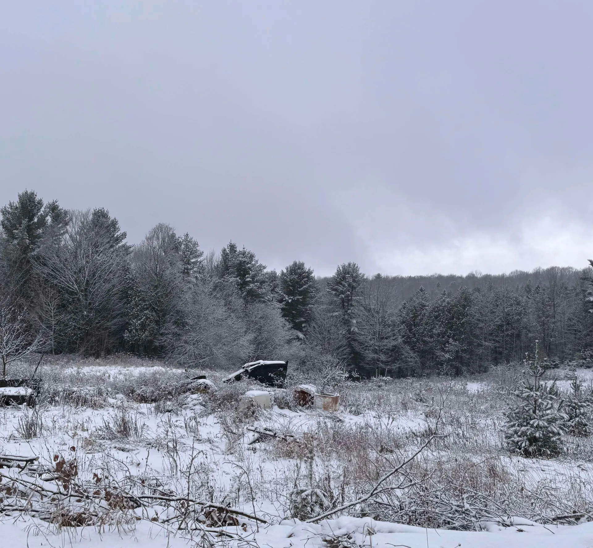 0 Hinman Settler Road Brownington VT 05860