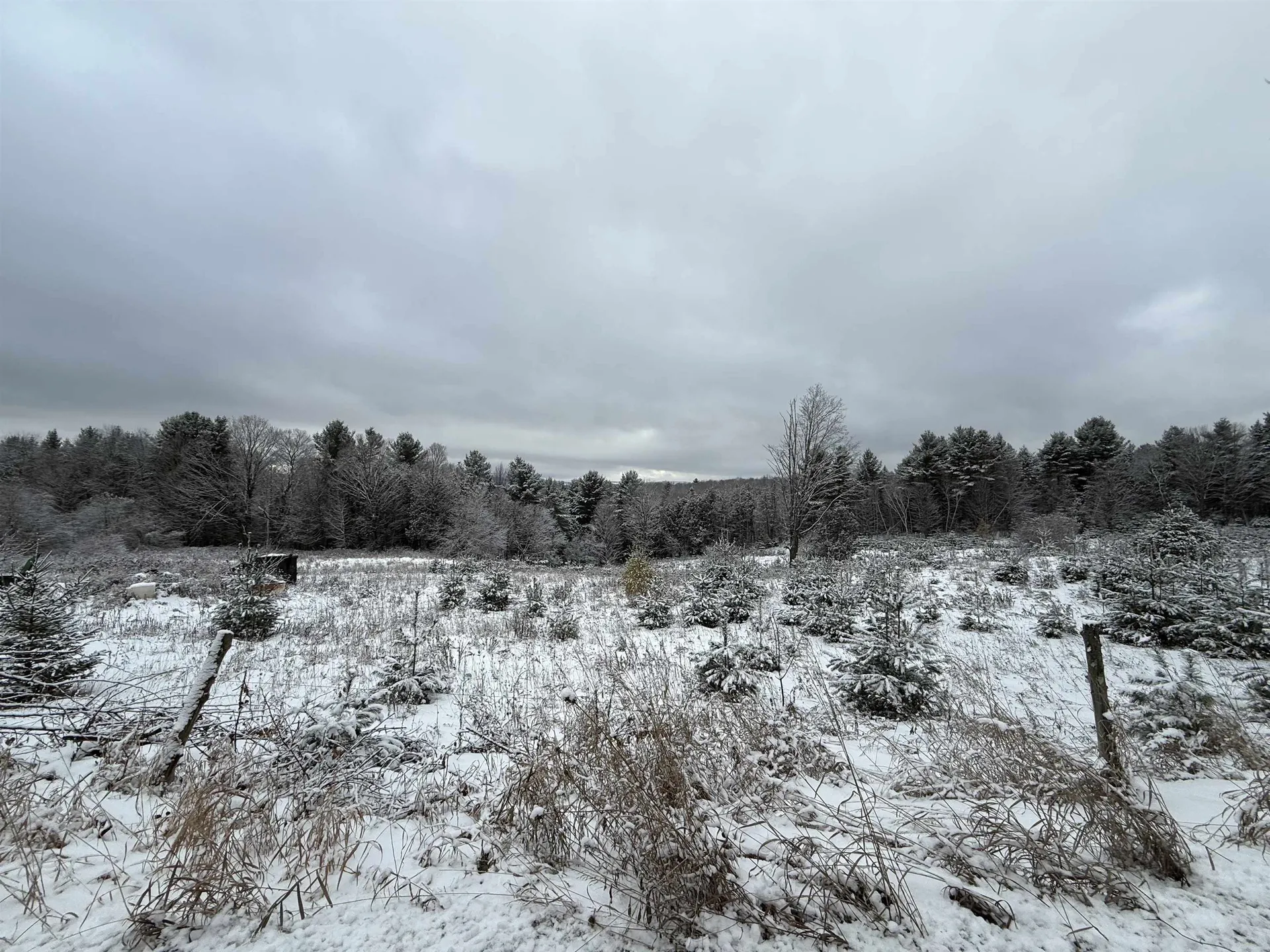 0 Hinman Settler Road Brownington VT 05860