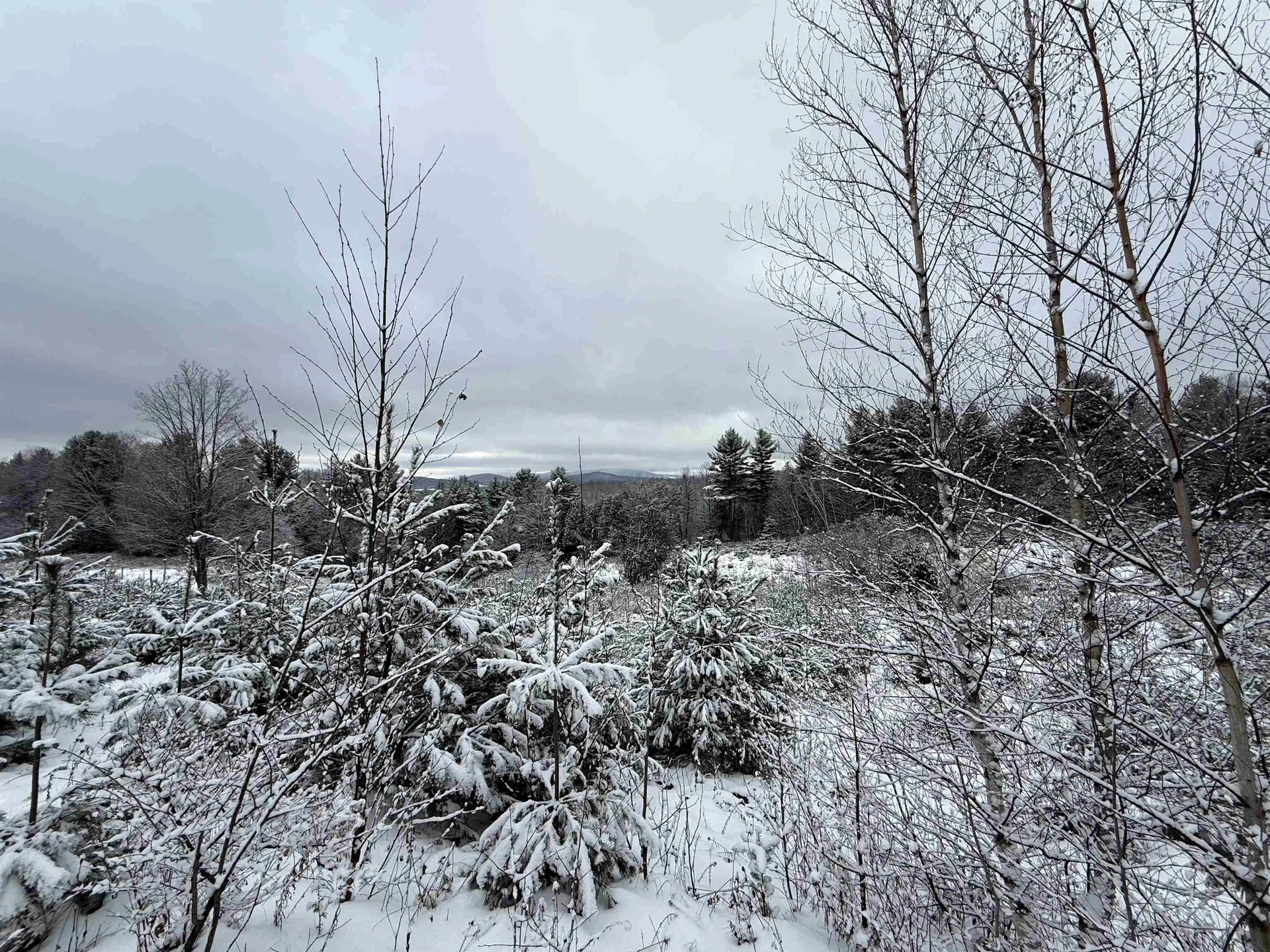 0 Hinman Settler Road Brownington VT 05860