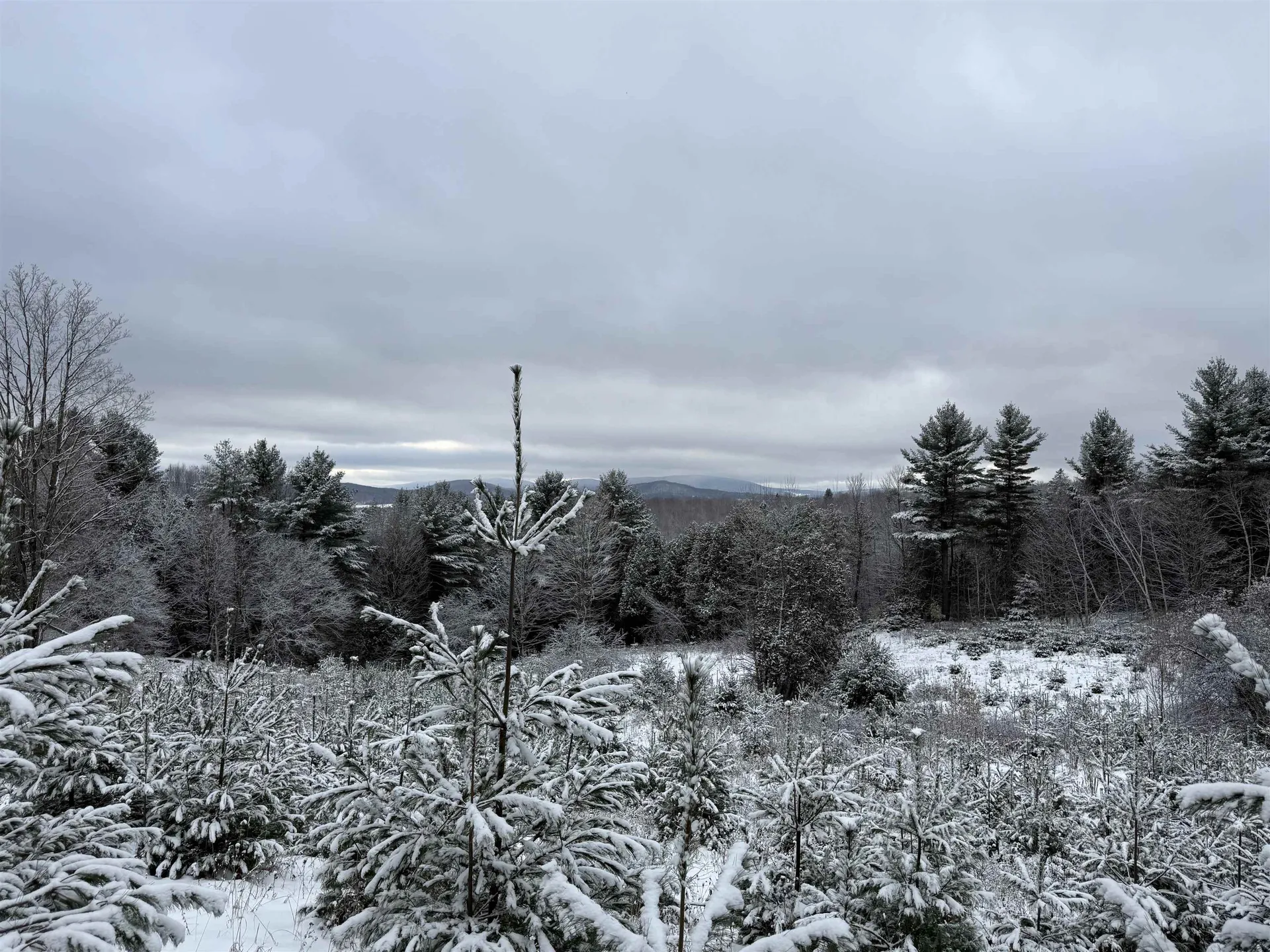 0 Hinman Settler Road Brownington VT 05860
