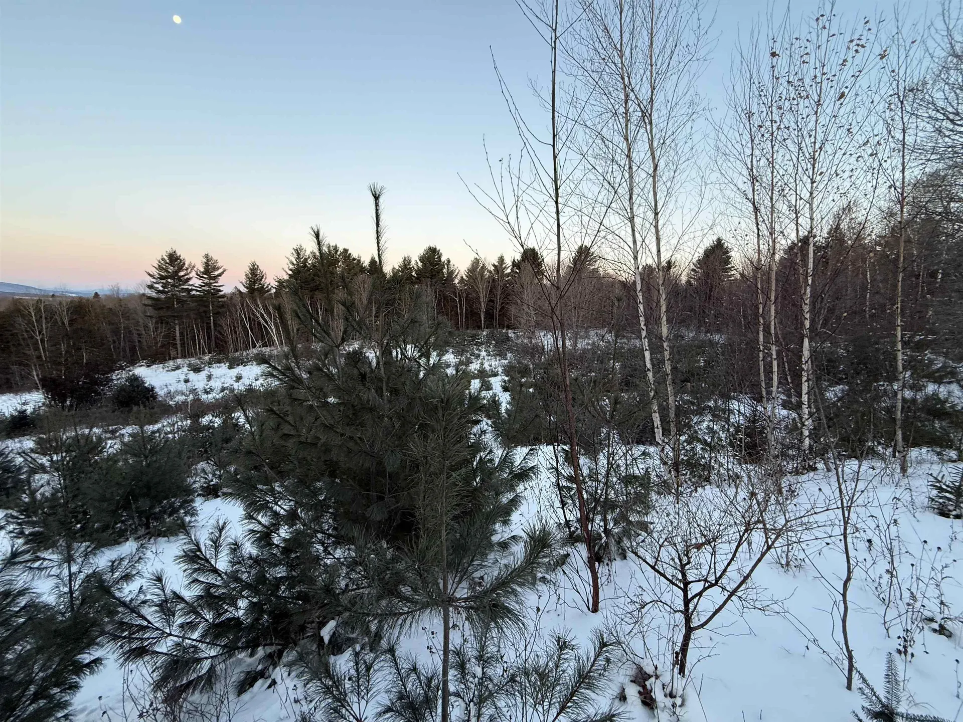 0 Hinman Settler Road Brownington VT 05860
