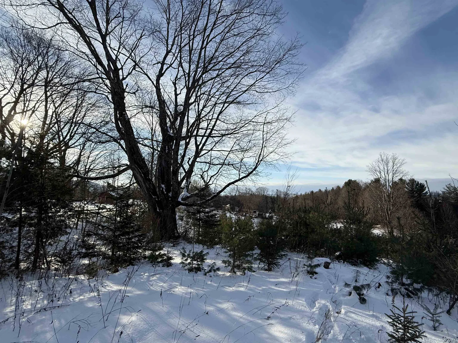 0 Hinman Settler Road Brownington VT 05860