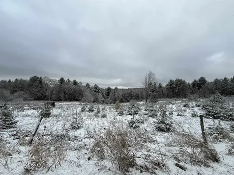 0 Hinman Settler Road Brownington VT 05860