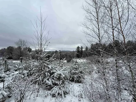 0 Hinman Settler Road Brownington VT 05860