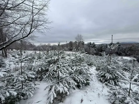 0 Hinman Settler Road Brownington VT 05860