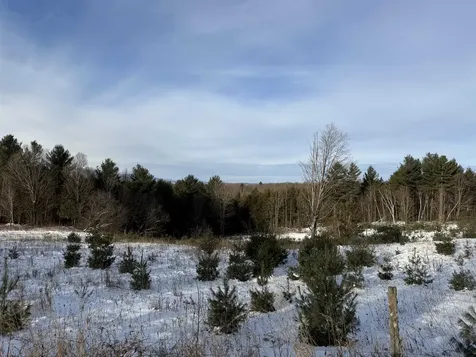 0 Hinman Settler Road Brownington VT 05860