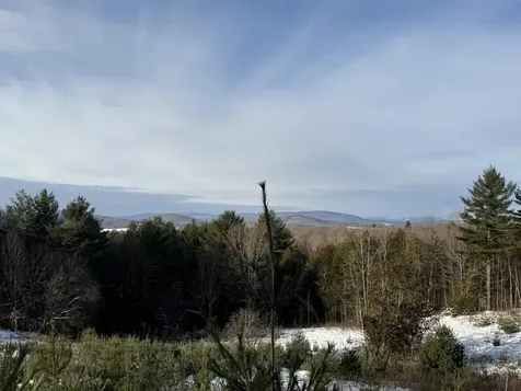 0 Hinman Settler Road Brownington VT 05860