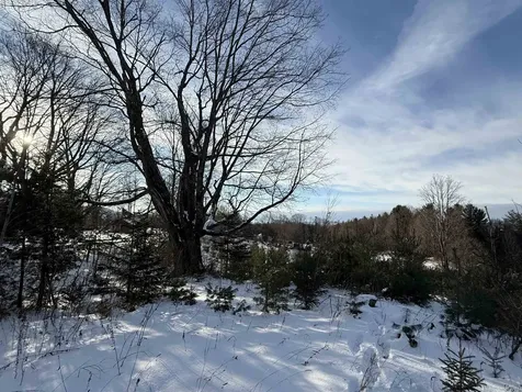 0 Hinman Settler Road Brownington VT 05860