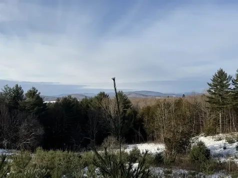 0 Hinman Settler Road Brownington VT 05860