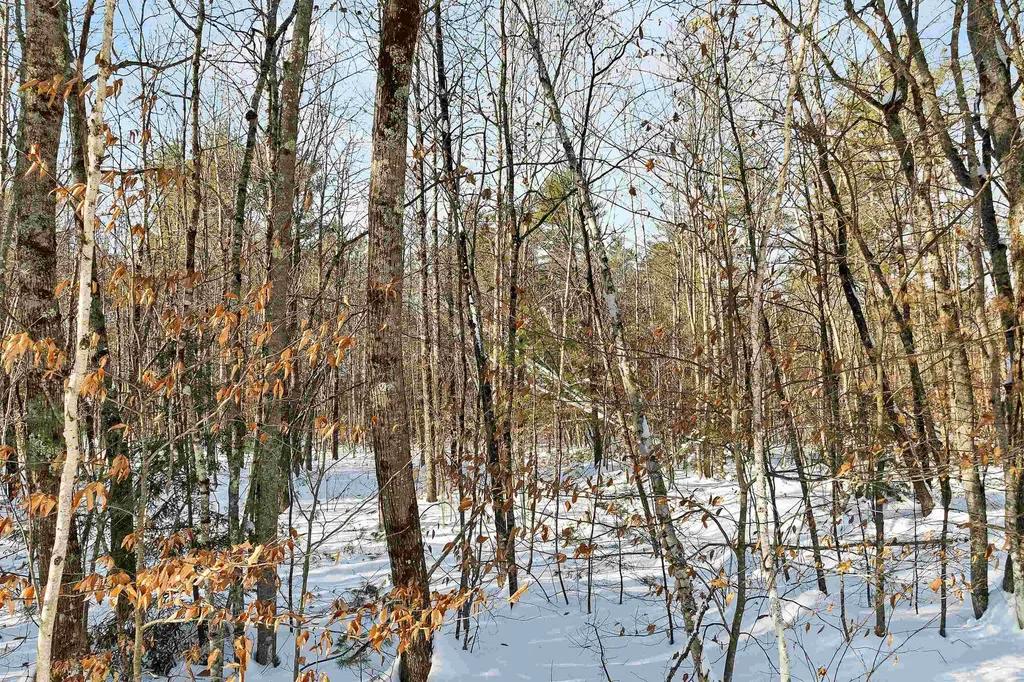 0 Green Mountain Highway Effingham NH 03882