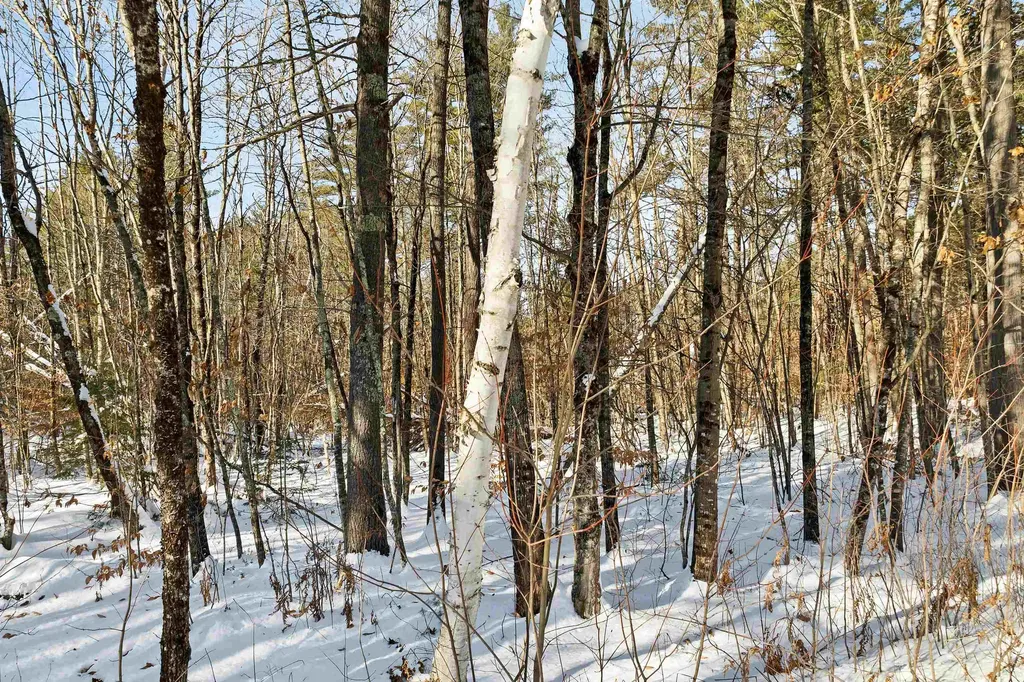 0 Green Mountain Highway Effingham NH 03882