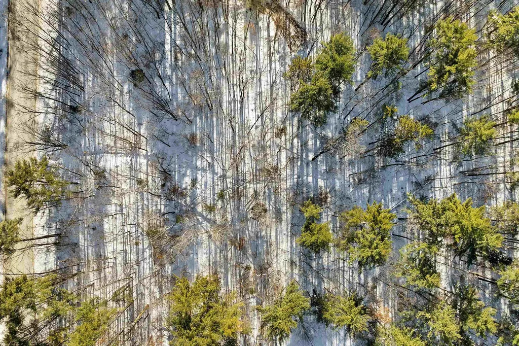 0 Green Mountain Highway Effingham NH 03882