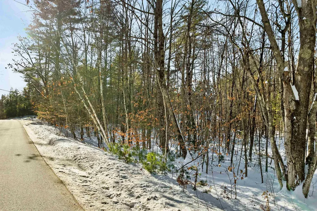 0 Green Mountain Highway Effingham NH 03882