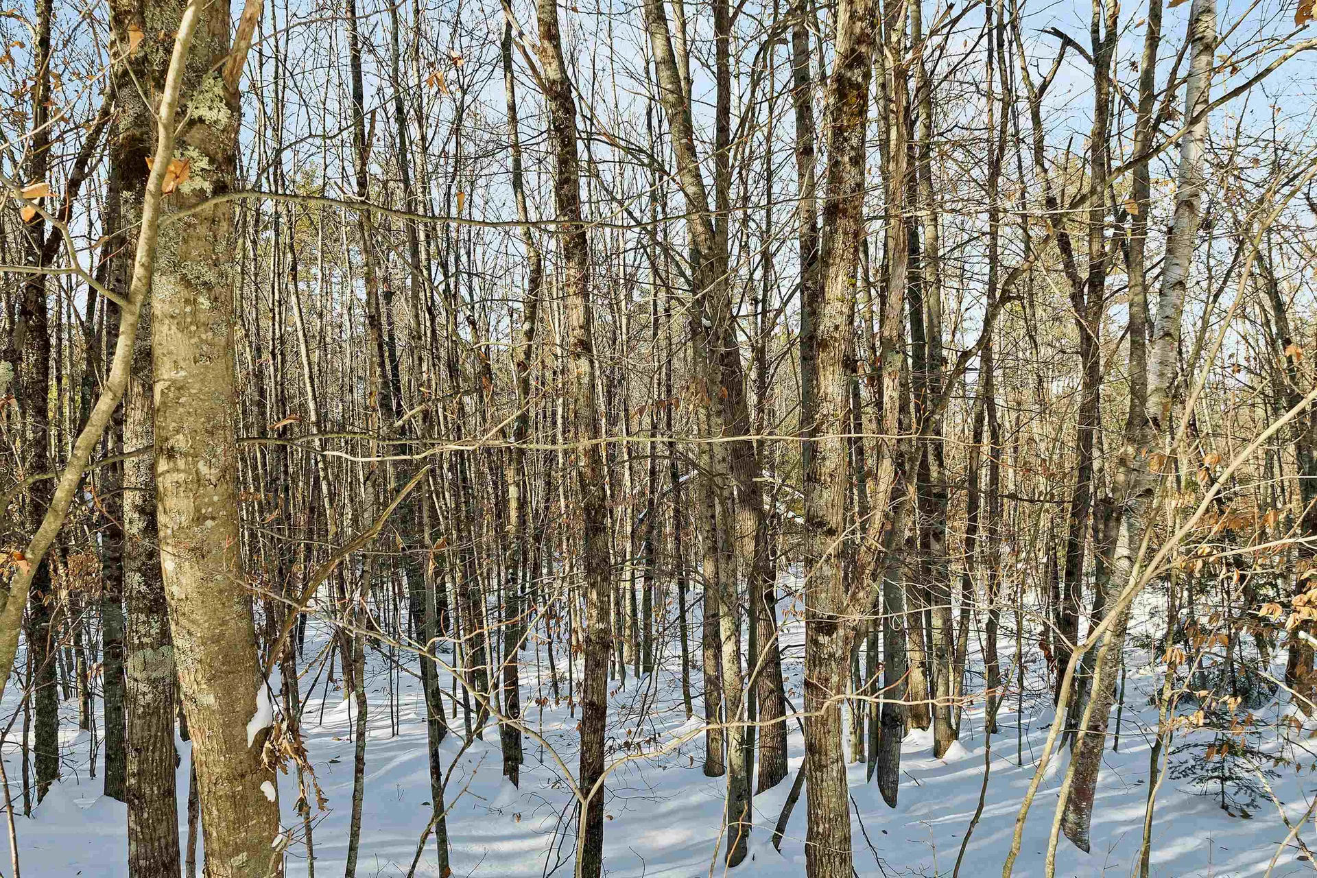 0 Green Mountain Highway Effingham NH 03882