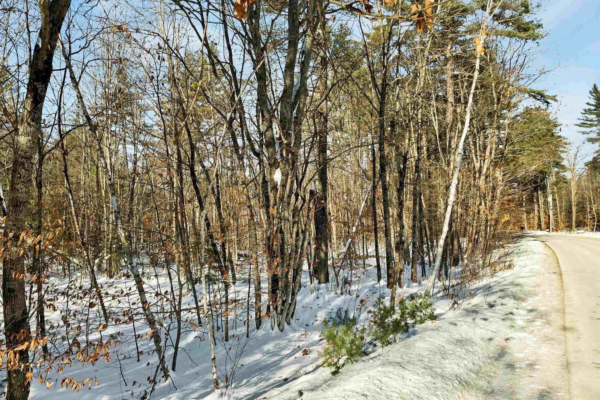 0 Green Mountain Highway Effingham NH 03882