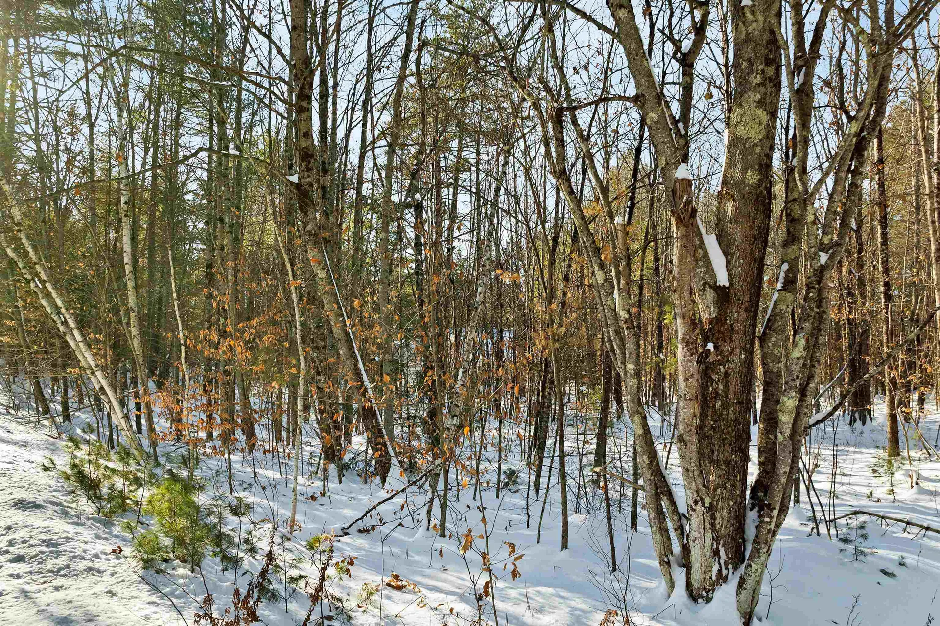 0 Green Mountain Highway Effingham NH 03882