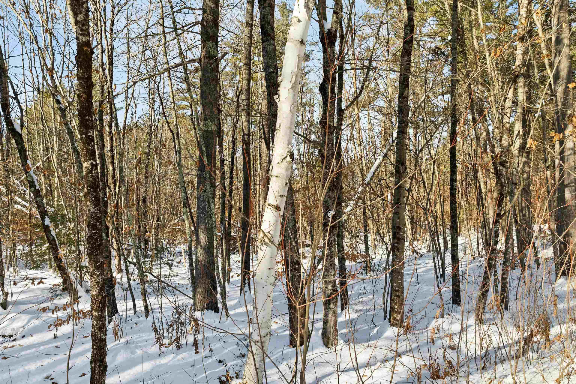 0 Green Mountain Highway Effingham NH 03882