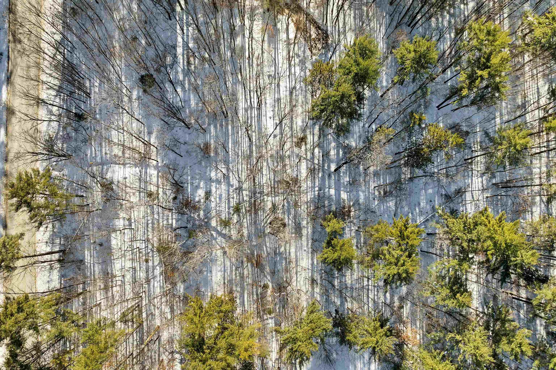 0 Green Mountain Highway Effingham NH 03882