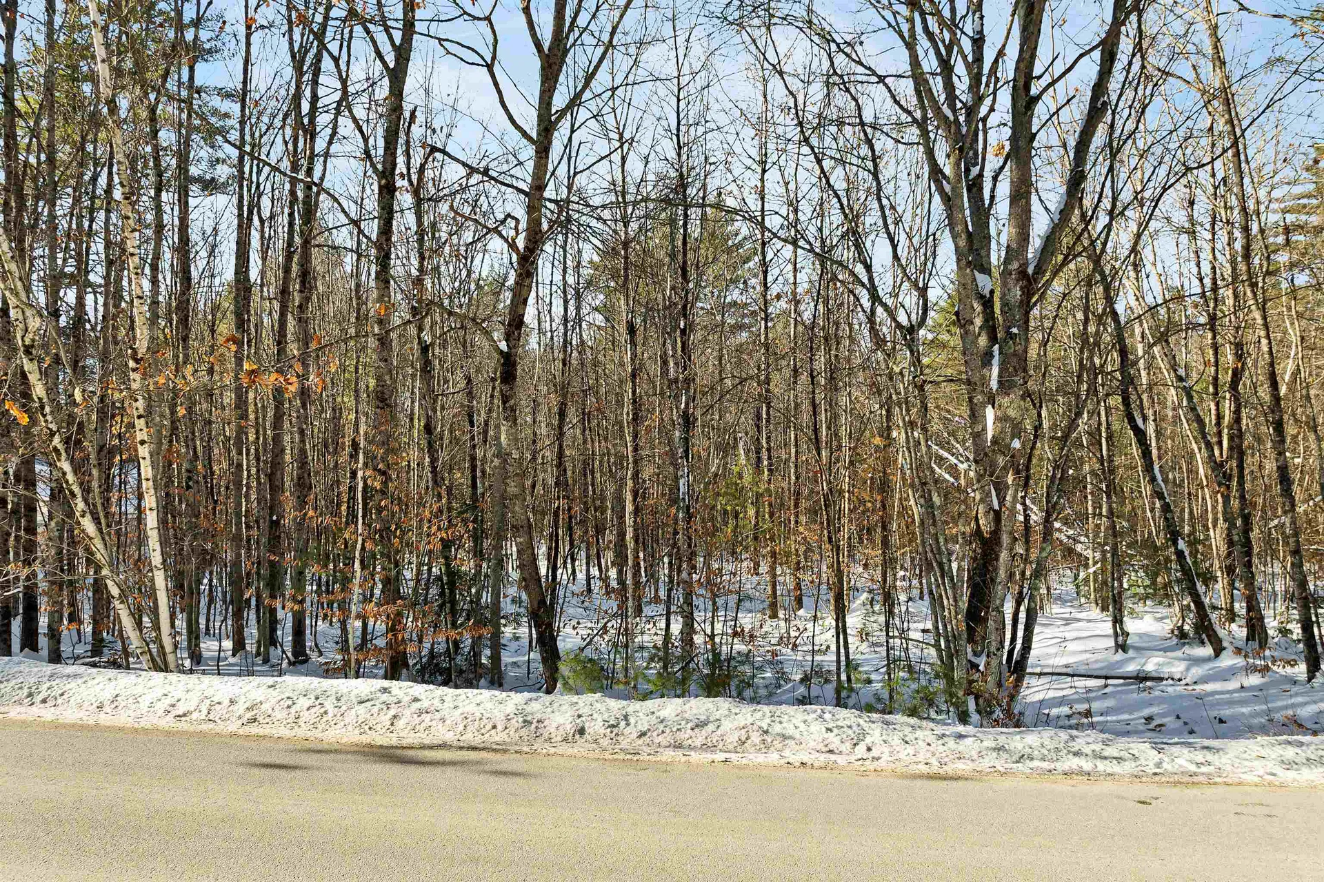 0 Green Mountain Highway Effingham NH 03882