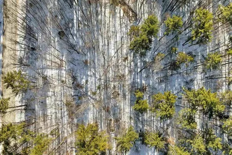 0 Green Mountain Highway Effingham NH 03882