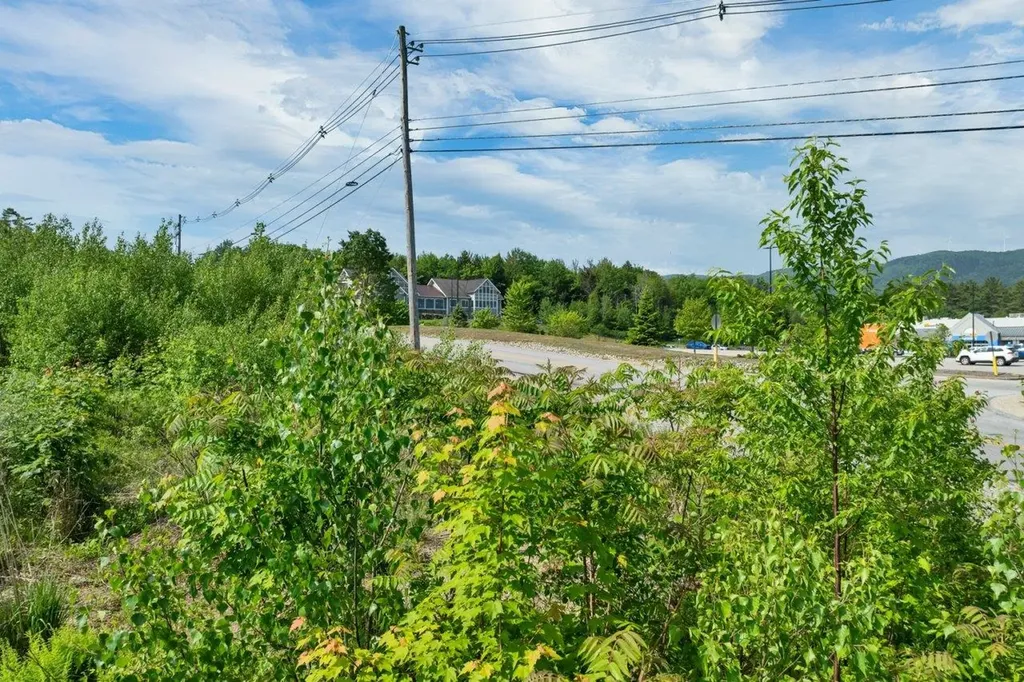 0 Boulder Point Drive Plymouth NH 03264