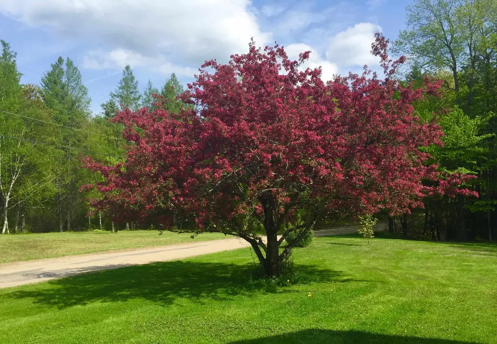 35 Pinnacle Ridge Road Meredith NH 03253