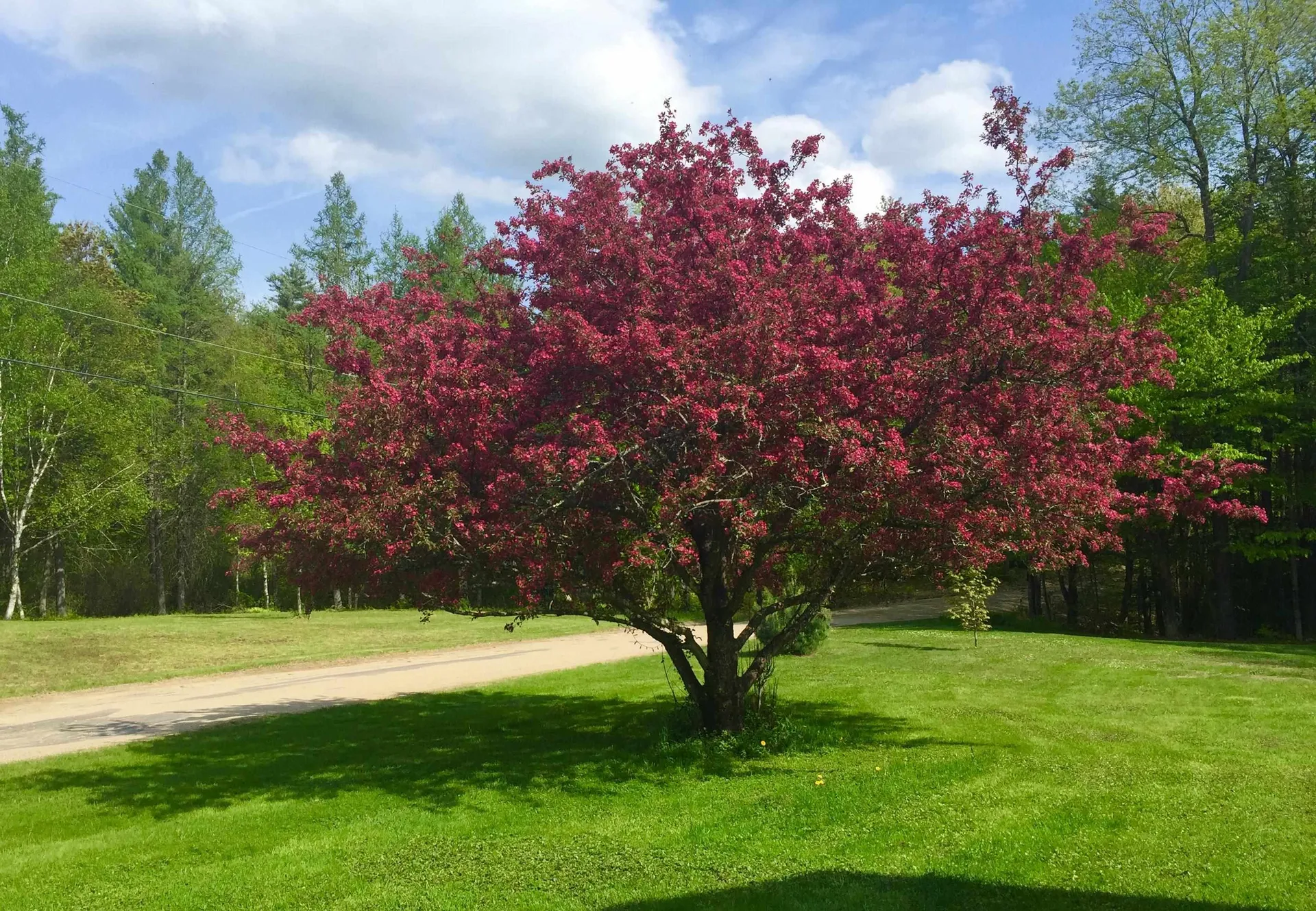 35 Pinnacle Ridge Road Meredith NH 03253