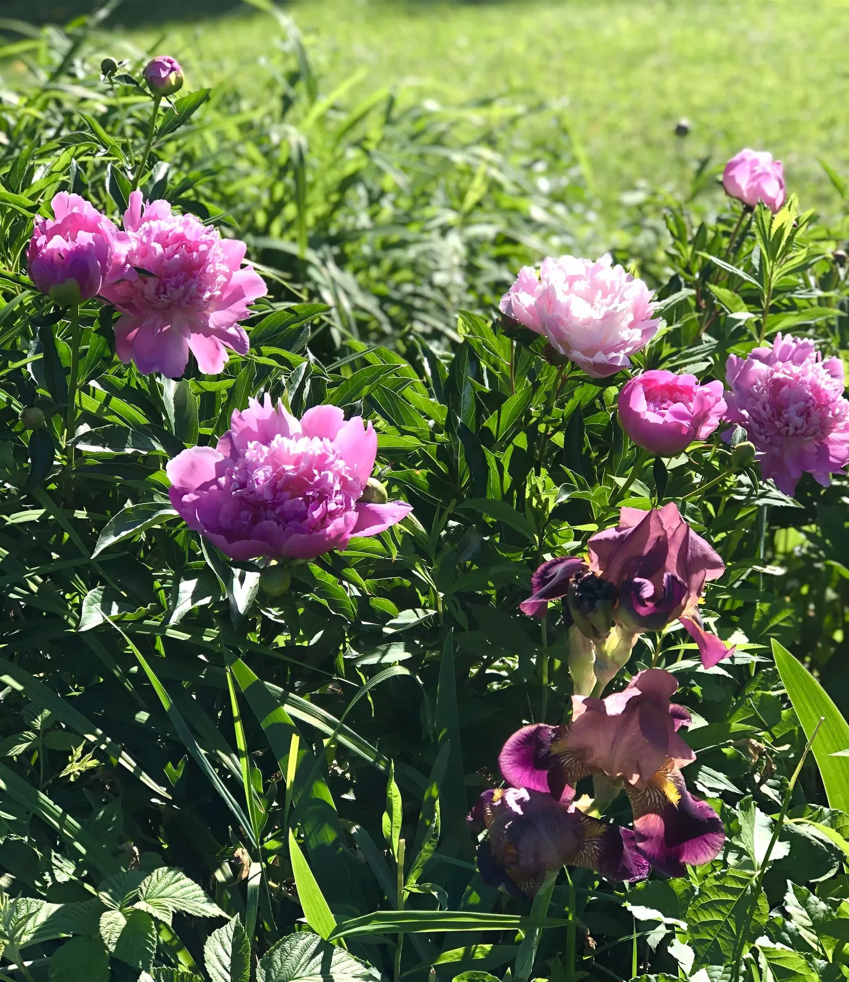 35 Pinnacle Ridge Road Meredith NH 03253