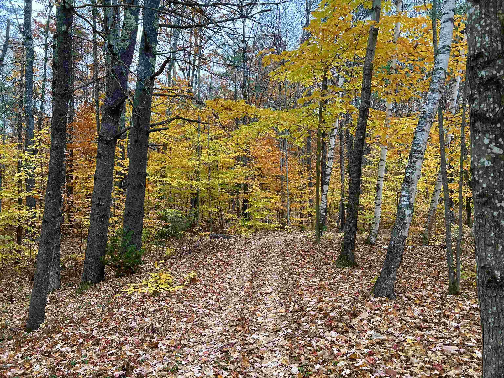 35 Pinnacle Ridge Road Meredith NH 03253