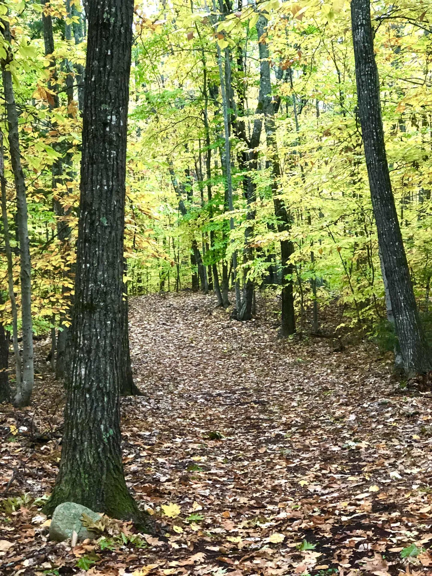 35 Pinnacle Ridge Road Meredith NH 03253