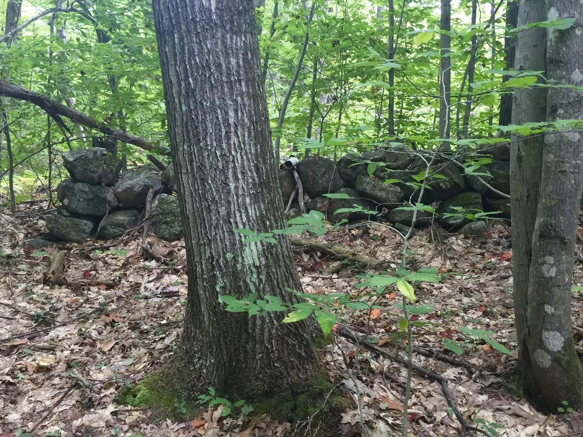 35 Pinnacle Ridge Road Meredith NH 03253