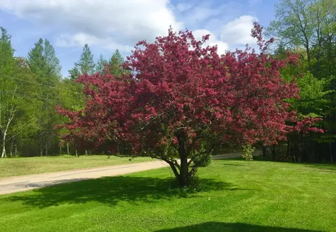 35 Pinnacle Ridge Road Meredith NH 03253