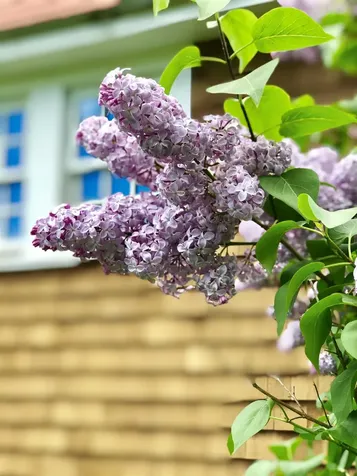 35 Pinnacle Ridge Road Meredith NH 03253