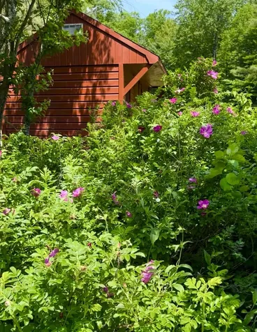 35 Pinnacle Ridge Road Meredith NH 03253