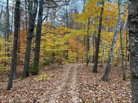 35 Pinnacle Ridge Road Meredith NH 03253