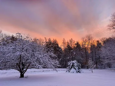 35 Pinnacle Ridge Road Meredith NH 03253