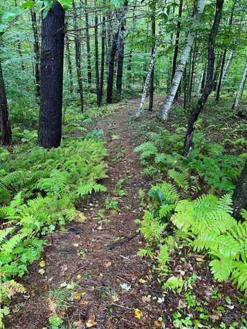 35 Pinnacle Ridge Road Meredith NH 03253